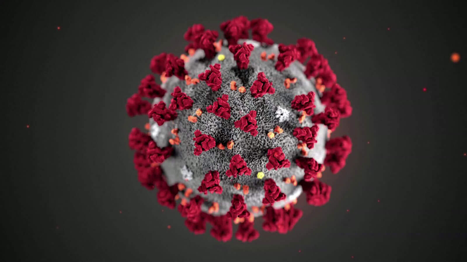 Have you thought about the impact of Coronavirus on chronic pain? Stress makes pain worse. And Coronavirus has brought a LOT of stress into our lives.