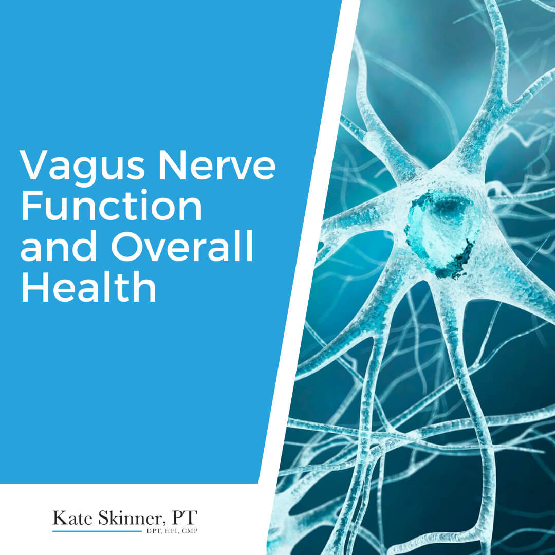 How Can Your Vagus Nerve Function Impact Your Hypermobility Symptoms